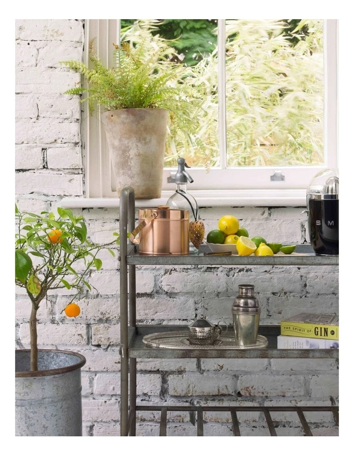 Top 10 ๐ Cheapest โค๏ธ Smeg 50's Style Citrus Juicer Black CJF01BLAU ๐ ๐ 4 Top 10 ๐ Cheapest โค๏ธ Smeg 50's Style Citrus Juicer Black CJF01BLAU ๐ ๐ - Image 4